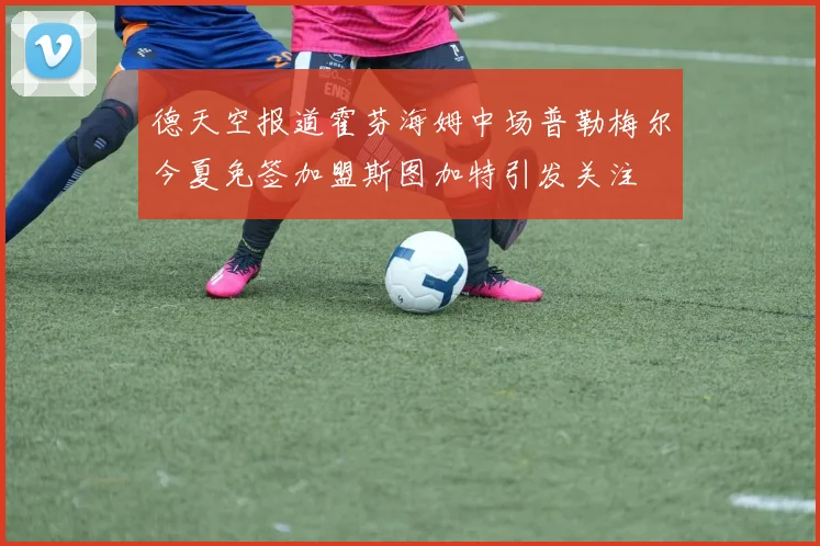 德天空报道霍芬海姆中场普勒梅尔今夏免签加盟斯图加特引发关注