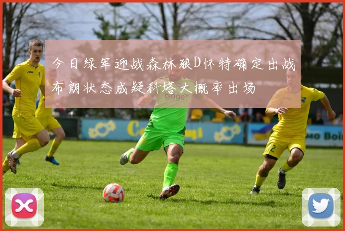 今日绿军迎战森林狼D怀特确定出战布朗状态成疑科塔大概率出场